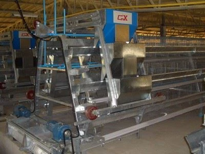 A Frame Layer Battery Cage factory