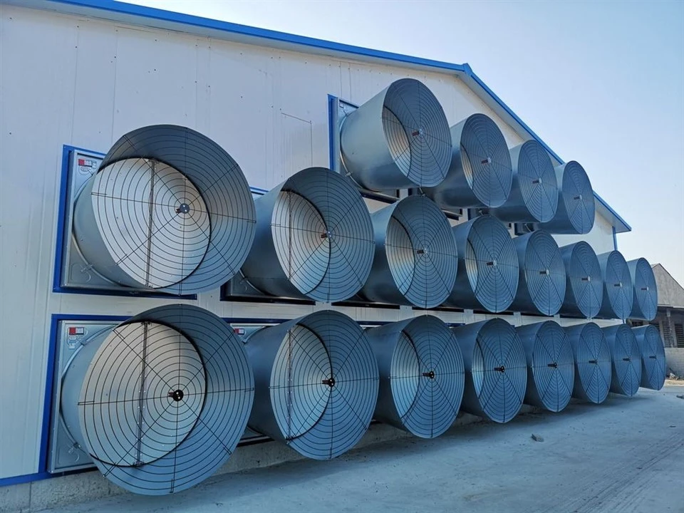 Broiler Cage Ventilation And Cooling System price